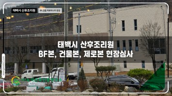 태백시 산후조리원 BF 현장